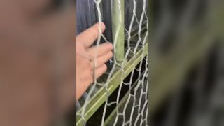 Mesin Wire Mesh Gabion Berkualitas Tinggi dari Pabrik Jinlida, Berbagai Jalur Produksi